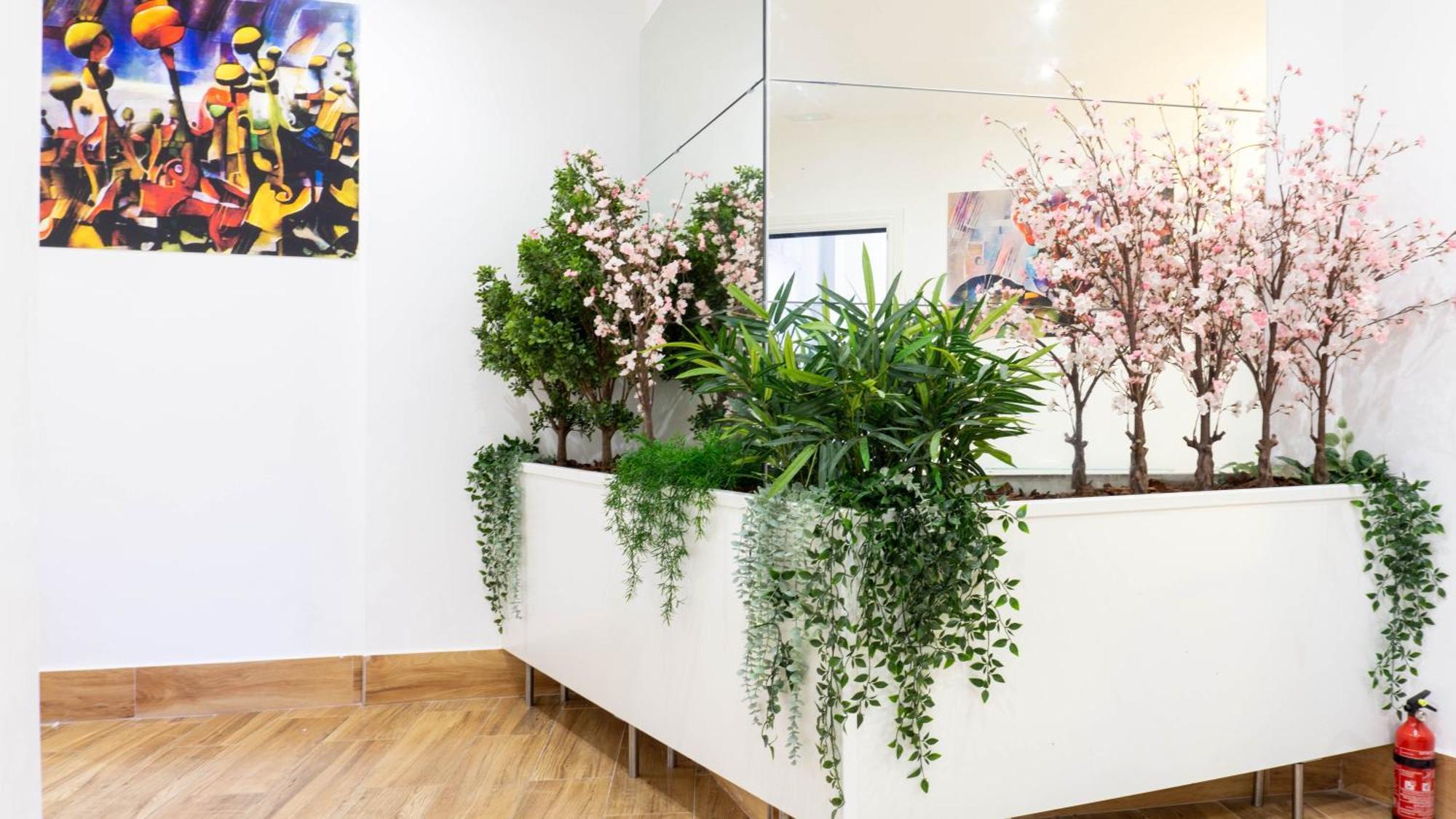 Ilustre Rooms Center Vistas 马拉加 外观 照片
